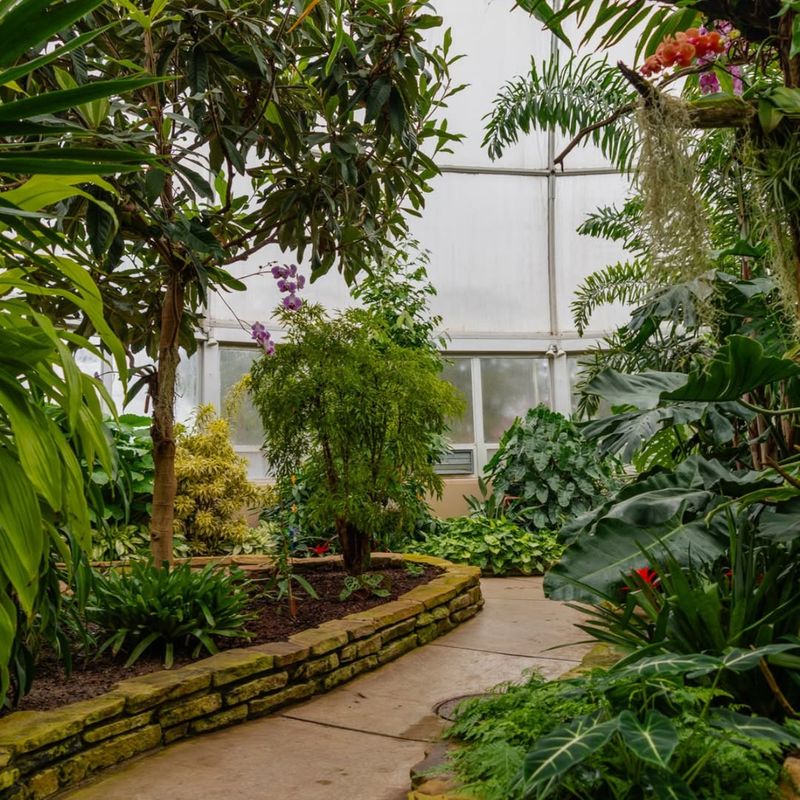 Year-Round Seasonal Interest