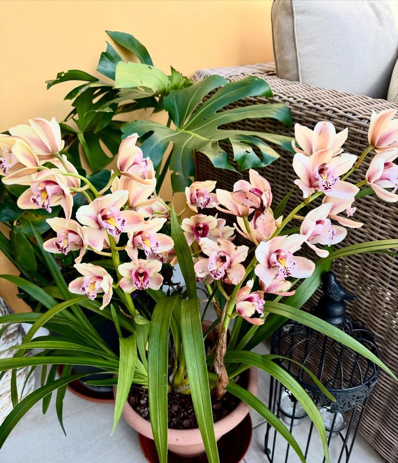 Dry Indoor Air Calls For Extra Humidity Support