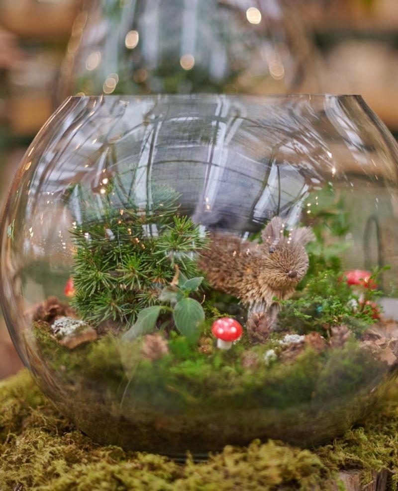 Seasonal Or Holiday Terrarium