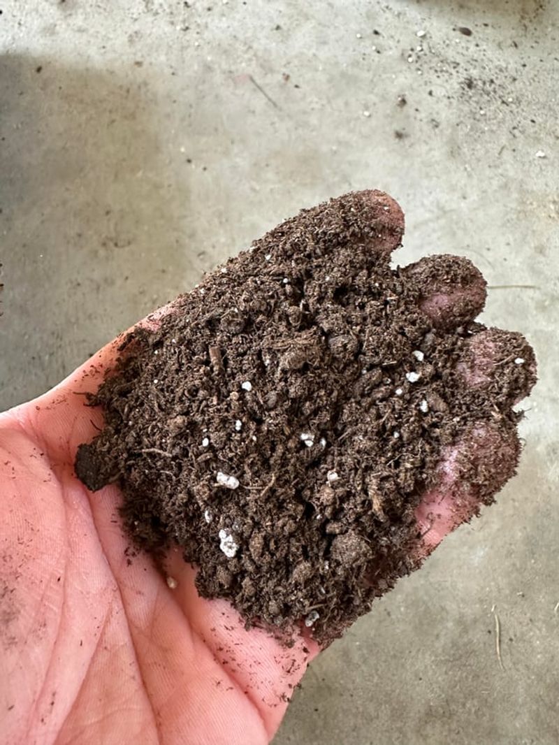 Check Drainage Before Spring Watering Increases