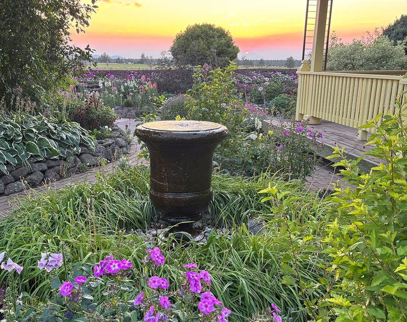 You Stop Fighting Nature, And Start Gardening With It