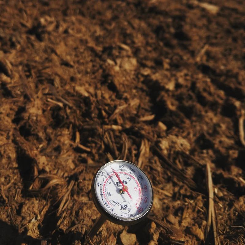 Soil Temperature Starts Moving Toward Planting Range