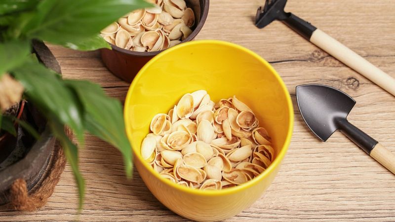 Decorative Ground Cover