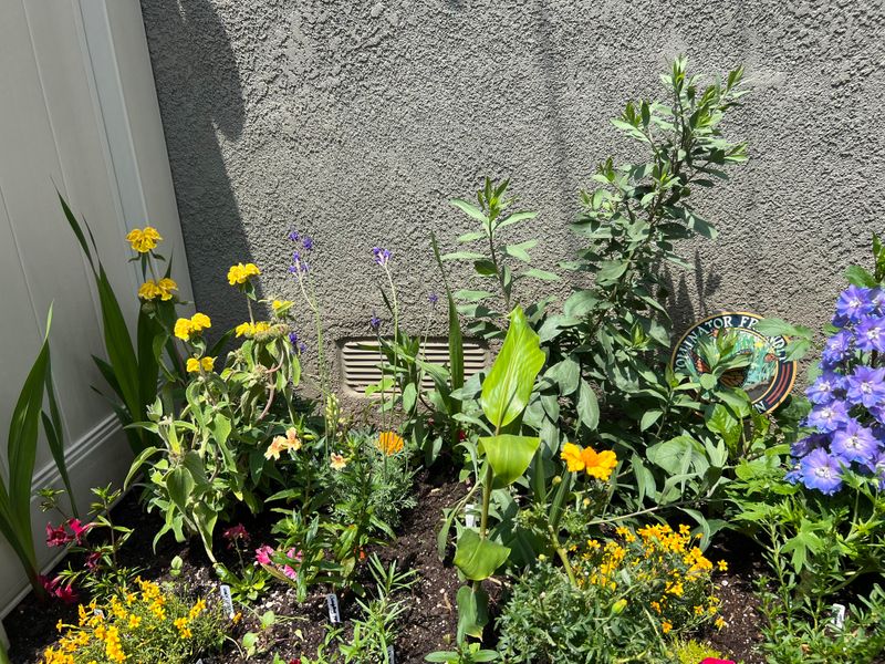 Nutrients Get Washed Away