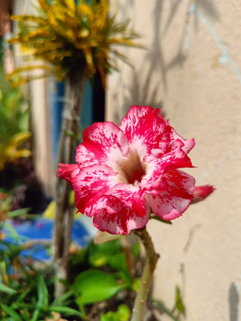 Smart Watering Encourages Healthy Growth