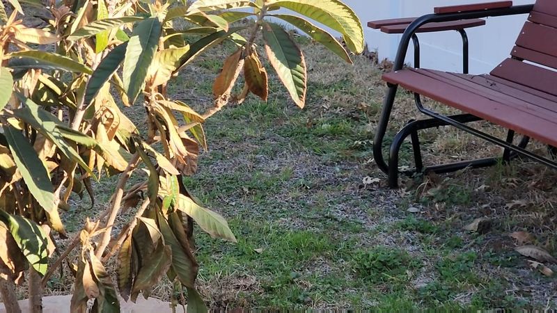 Why Buds And Blossoms Need Extra Care