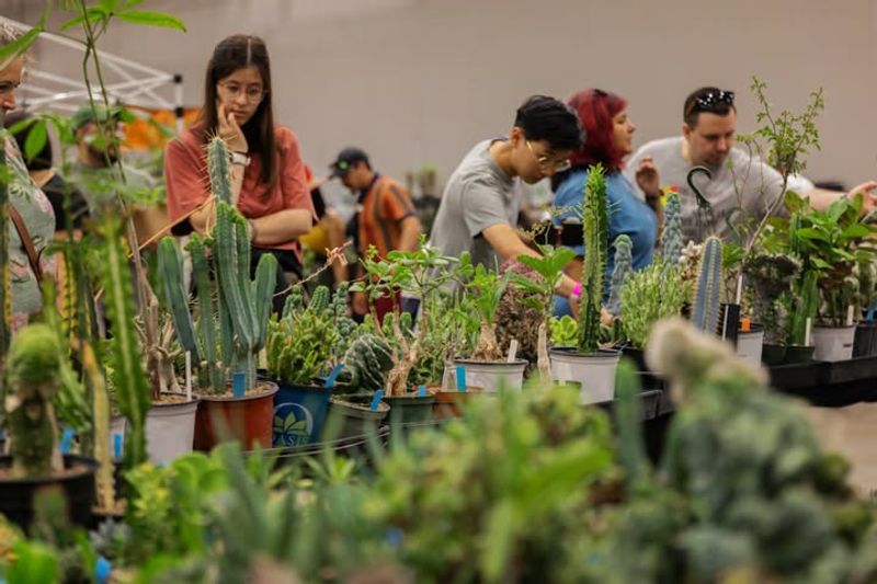  A Marketplace Filled With Living Treasures