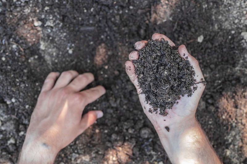 Cold Soil Slows Or Prevents Seed Germination