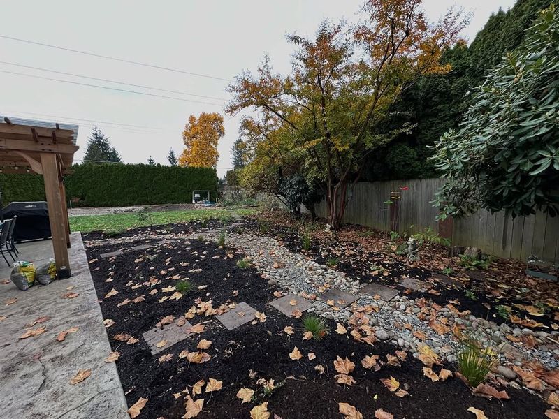 Not All Plants Survive Oregon Winters