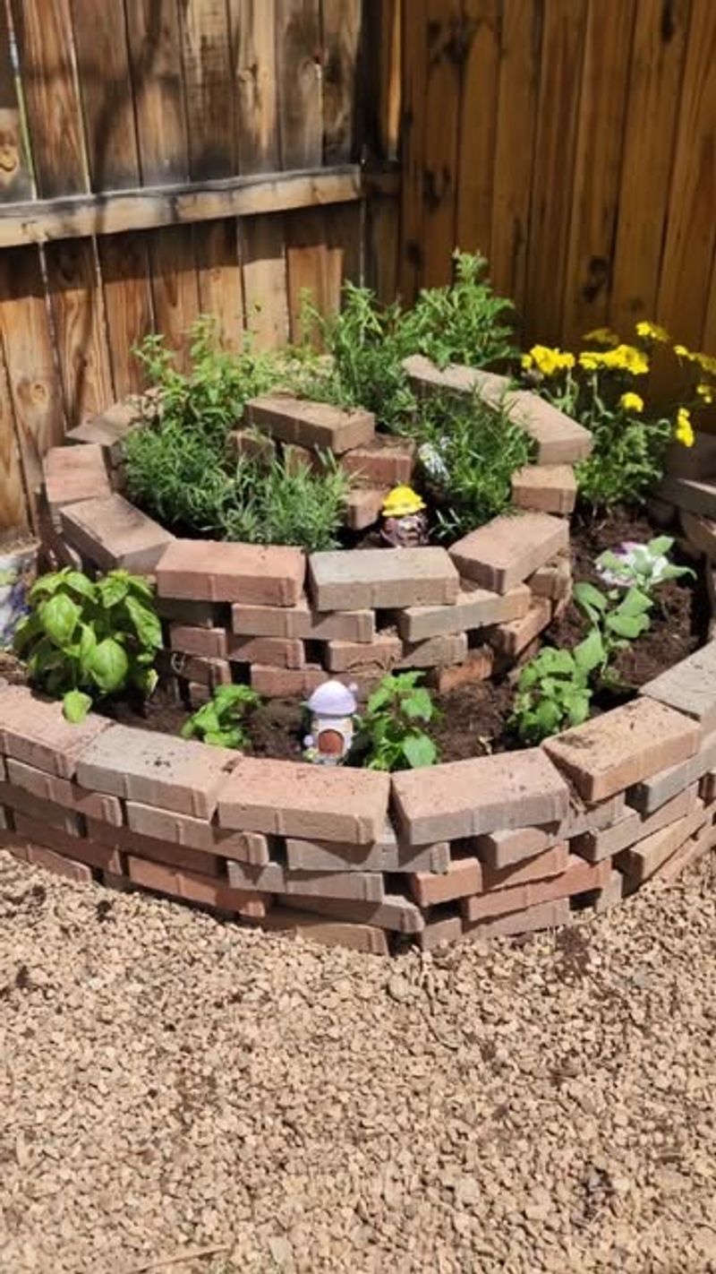 What Herbs Grow Best In The Middle Section