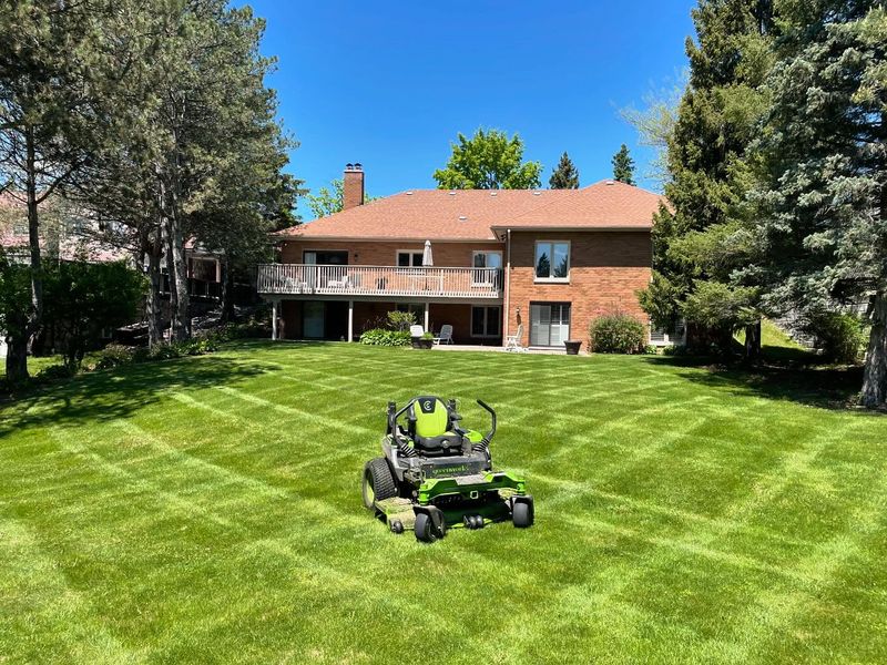 Why Choosing The Right Lawn Service Matters In Texas?