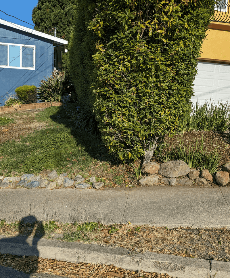 Who Really Owns The Hedge?