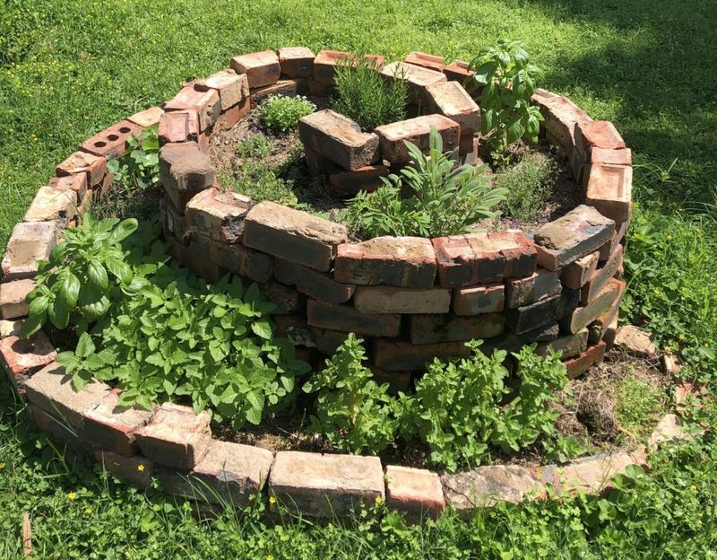 Common Herbs Michigan Gardeners Grow In Herb Spirals