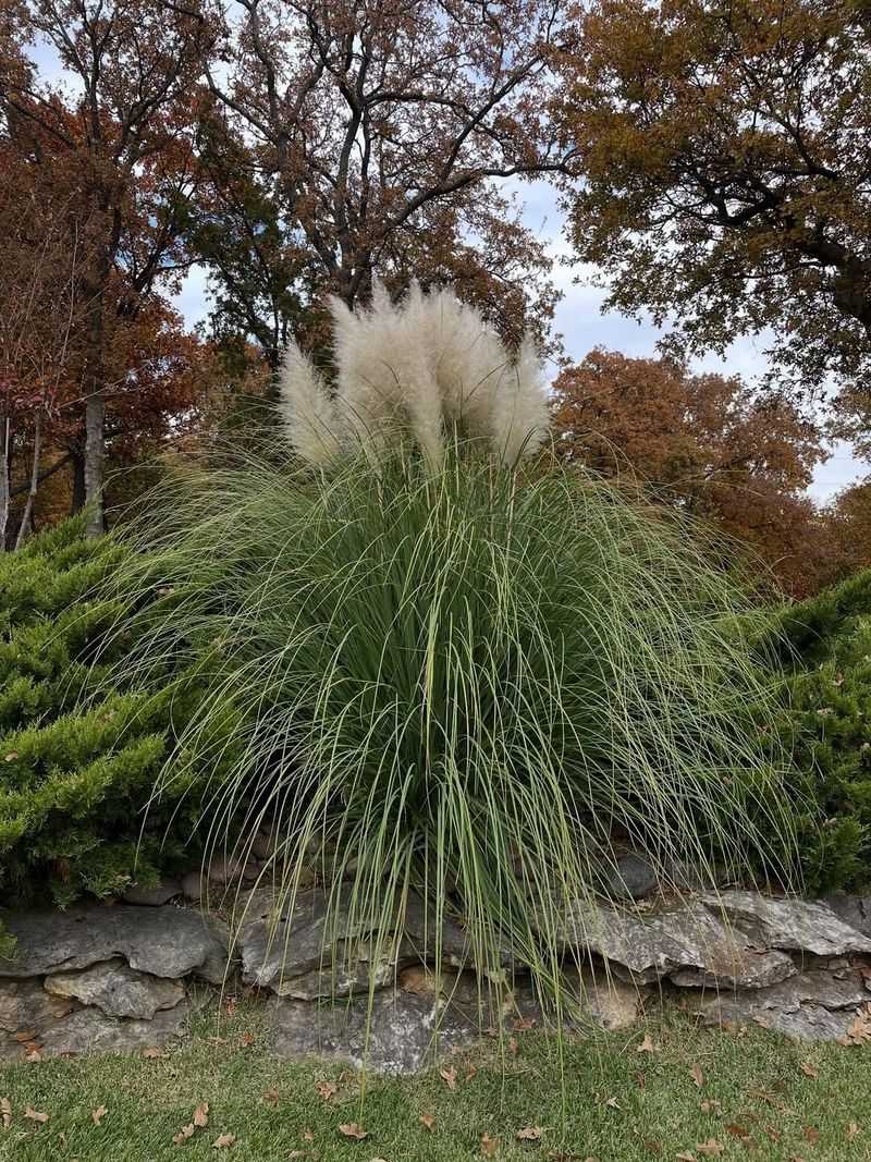 Prevent Reinfestation In Your Yard