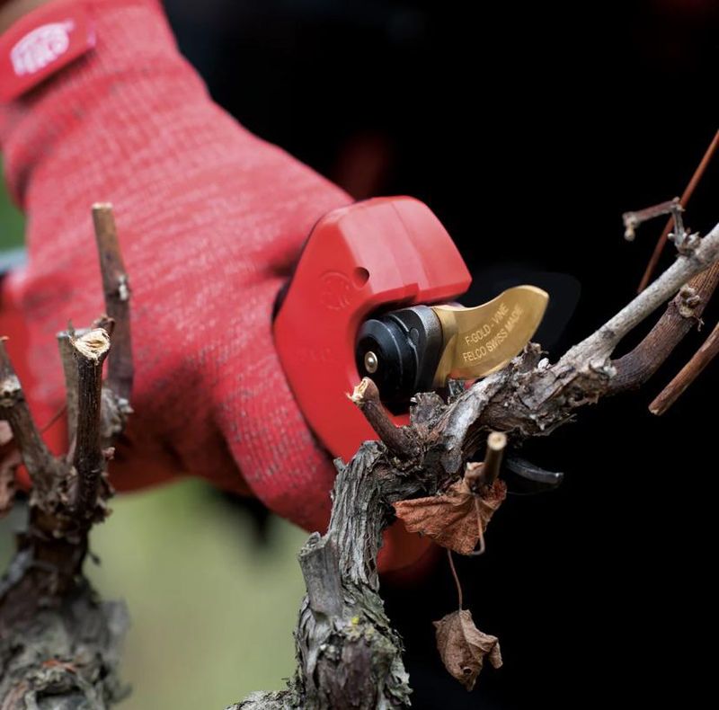 Tools, Clean Cuts, And Proper Technique