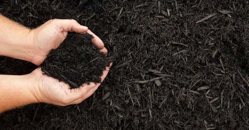 How Much Mulch To Apply For Maximum Benefit