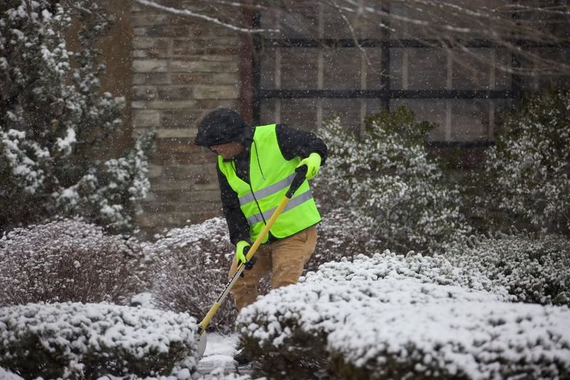 The Right Way To Handle Snow Without Hurting Plants
