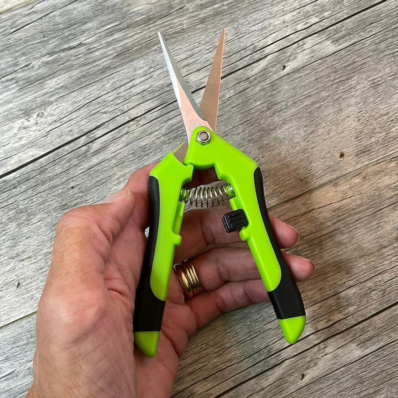 Tools You Need For Clean Cuts