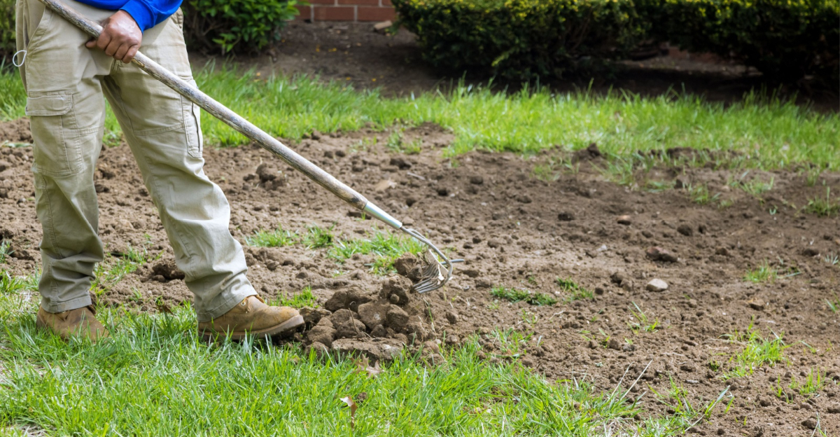 Landscapers gardeners mowing lawn