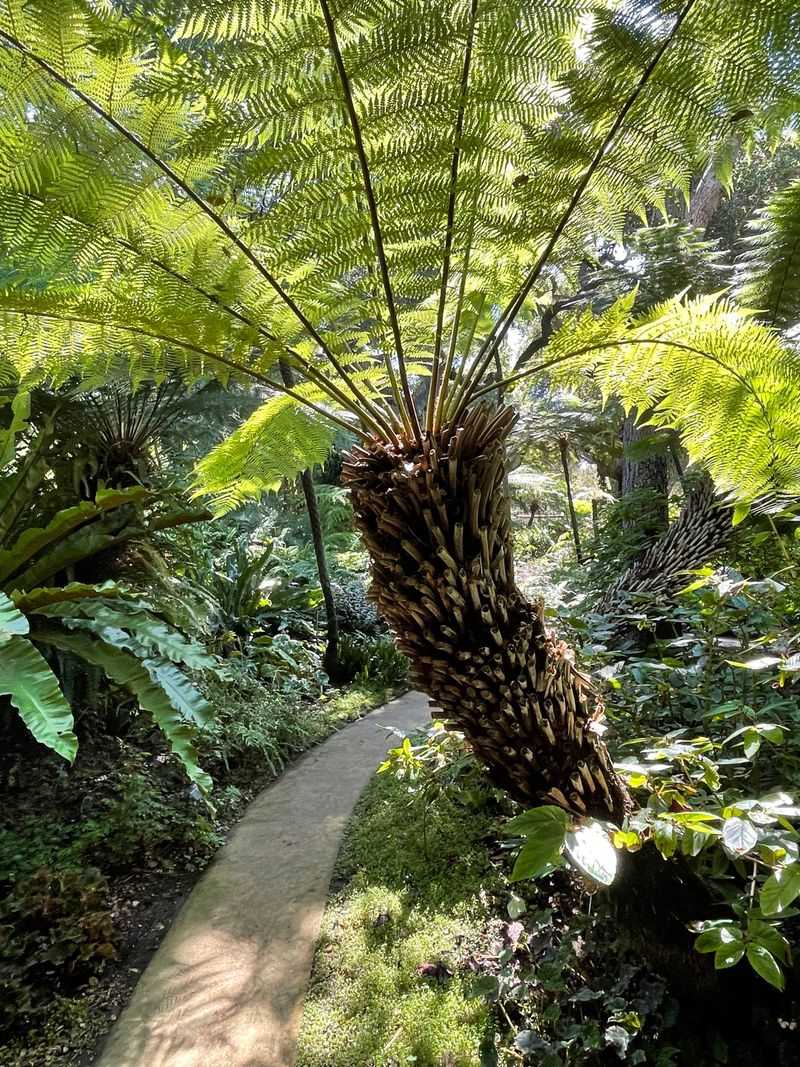 How To Experience Lotusland