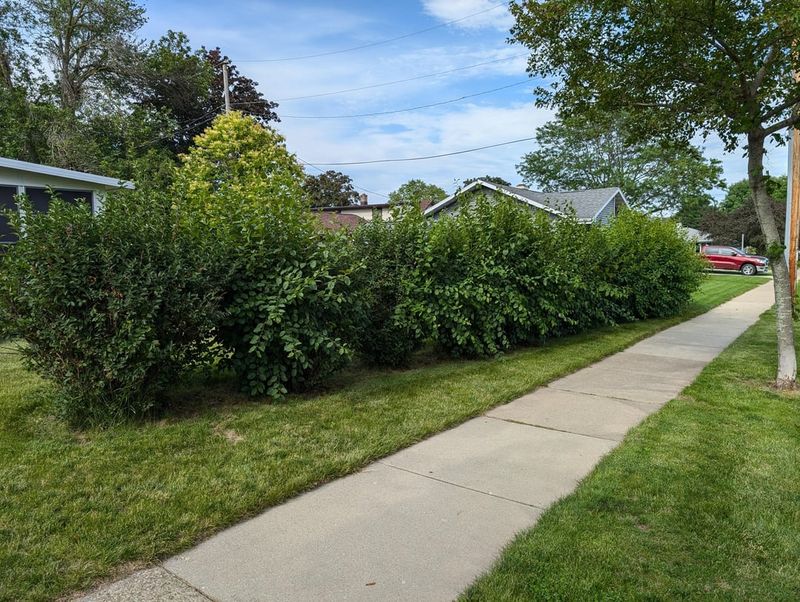 When A Hedge Becomes A Legal Problem