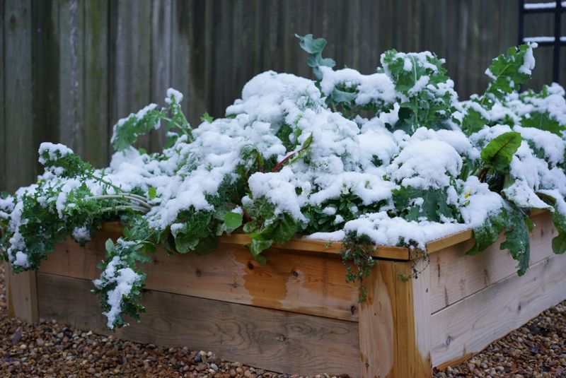 When Snow Might Need Attention?