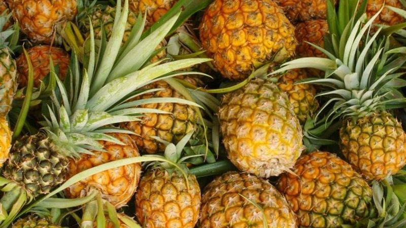 Why Pineapples Fit Florida's Easy Tropical Style