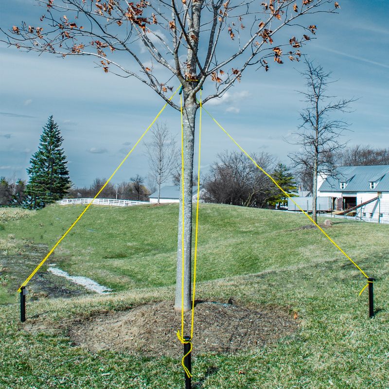 Choosing The Right Ties And Materials