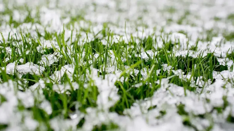 How Freeze-Thaw Cycles Trigger Frost Heaving