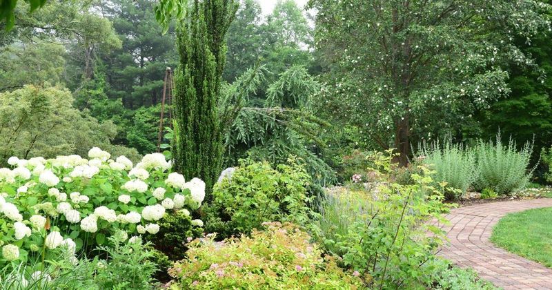 Located Within A Community Botanical Garden