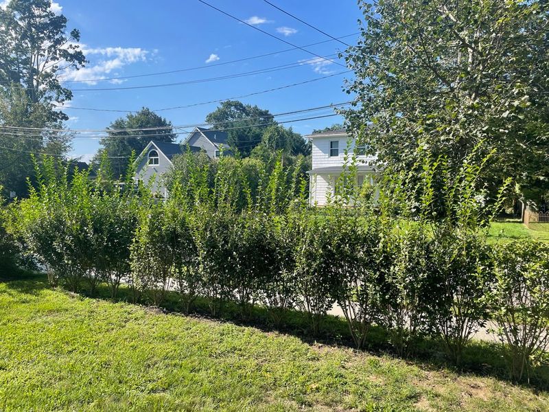 When You Can Legally Trim A Neighbor's Hedge 