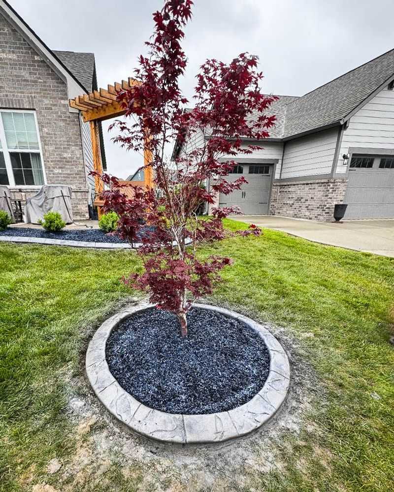 That Fresh Mulch Color Is Fooling Homeowners