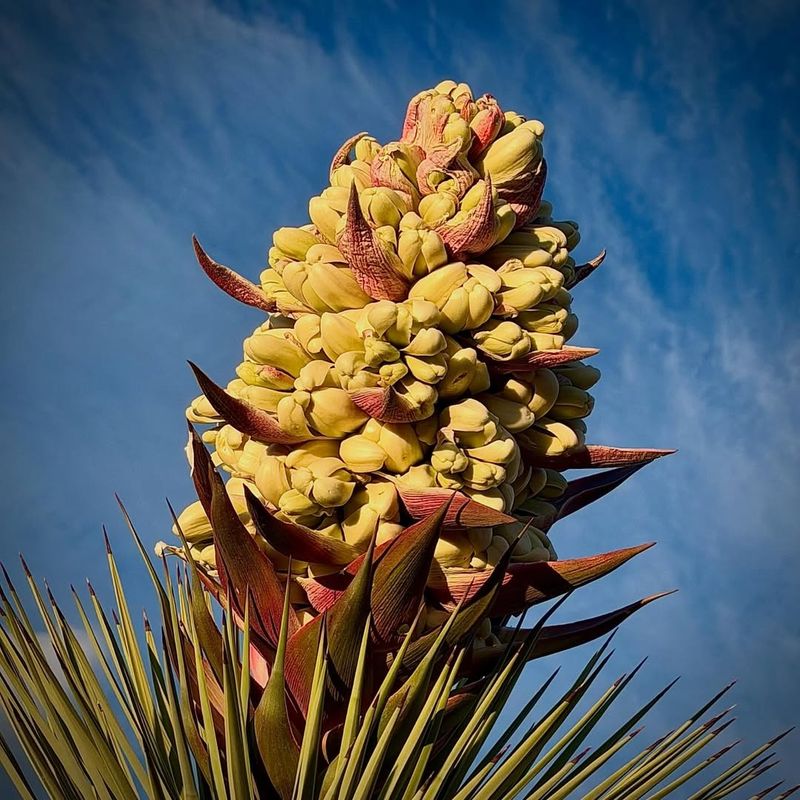 What It Could Mean For The Months Ahead