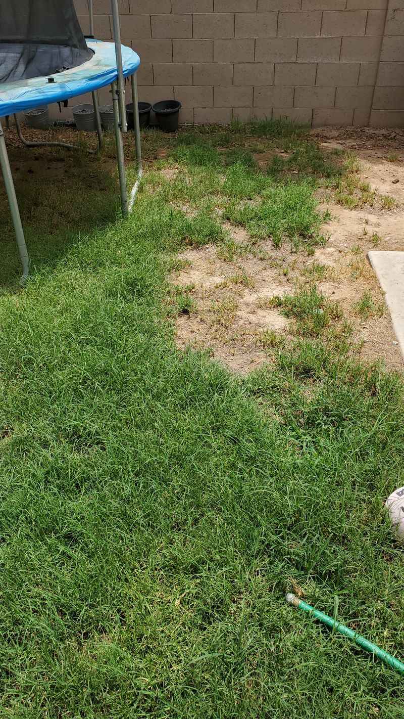 Cool Soil Prevents Grass Roots From Using Nutrients