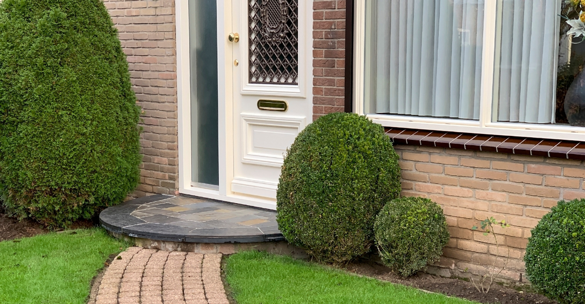 boxwood (featured image)