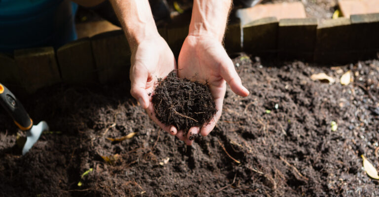 mulch (featured image)