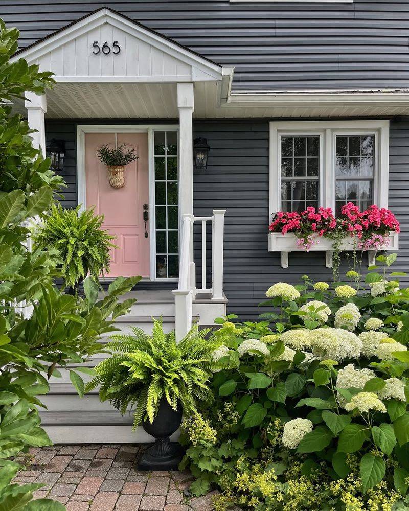 Hydrangeas Create A Stunning First Impression