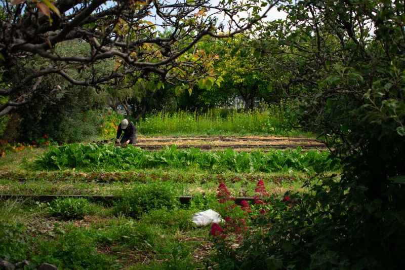 The Power Of Microclimates