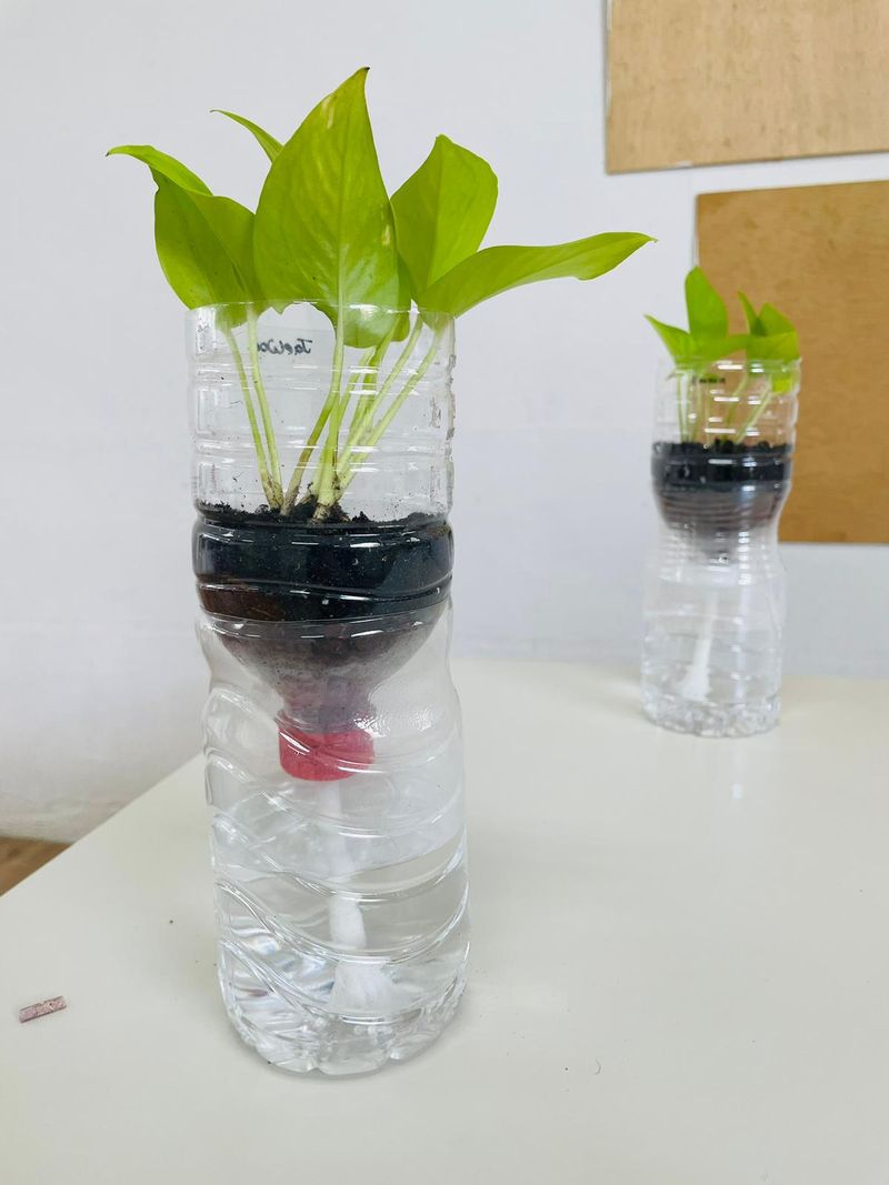 Turning An Ordinary Plastic Bottle Into A Smart Self-Watering Planter