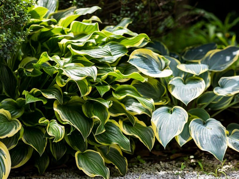 The Curb Appeal Secret Many Pennsylvania Homes Share