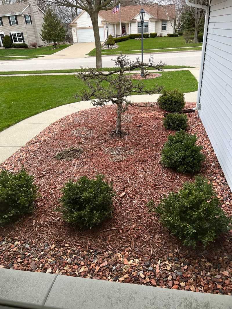 How Often Florida Gardens Need Fresh Mulch