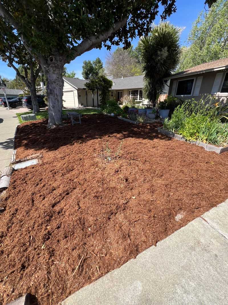 Soil Temperature Matters More Than You Think