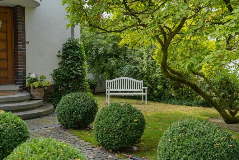boxwood near front door