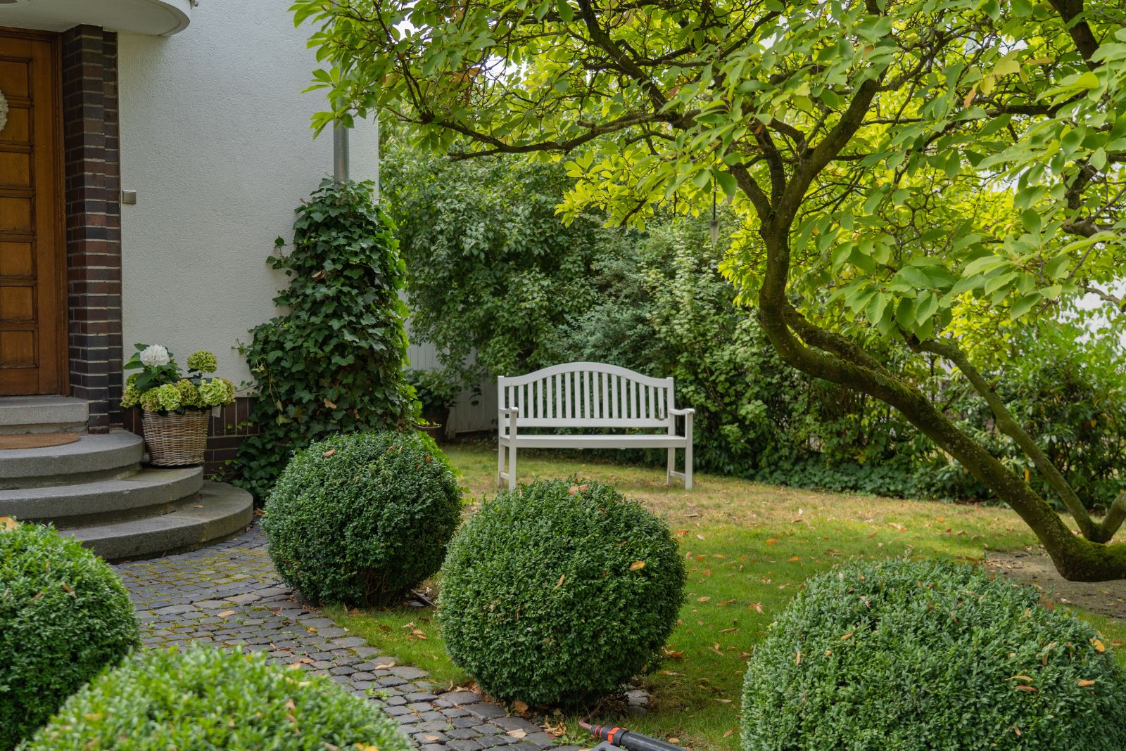 boxwood near front door