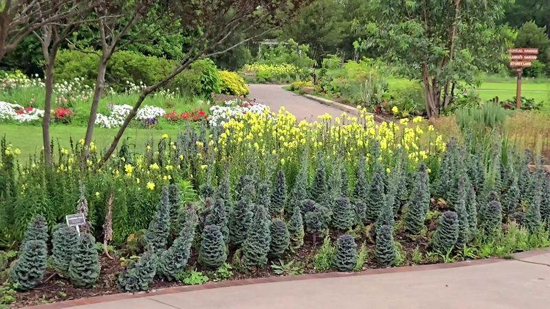 What Visitors Often Discover And Why They Return?