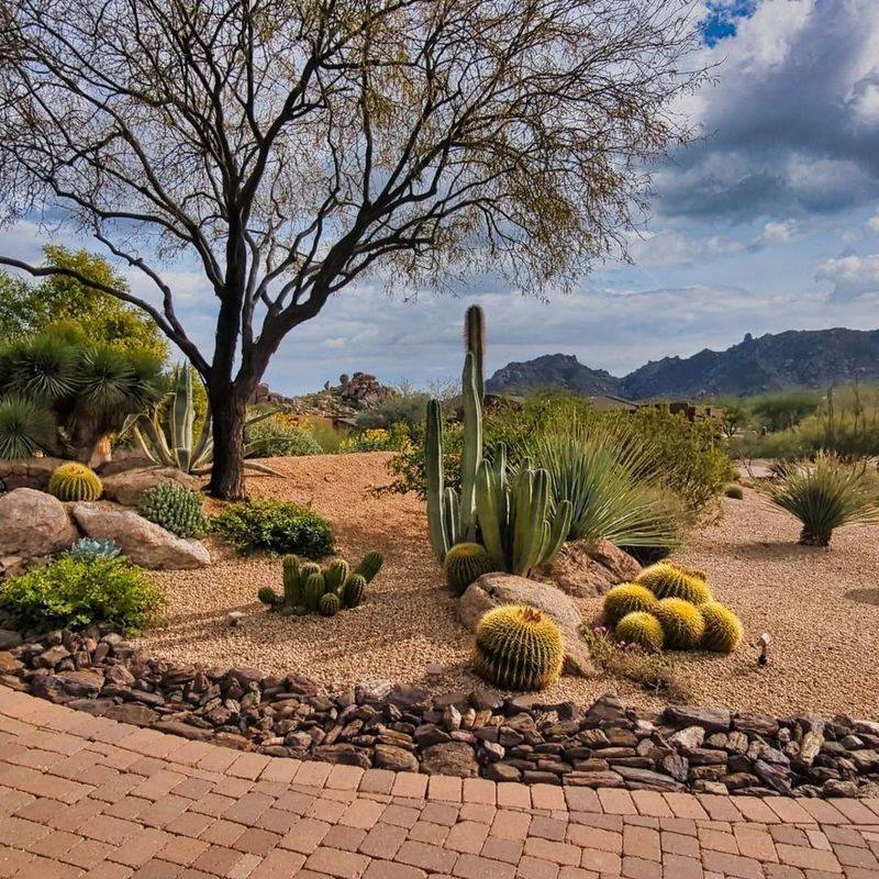 What Sustainable Gardening Means In Arizona's Desert Climate