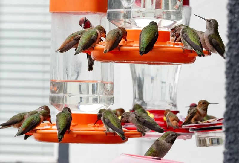 Support During Breeding Season