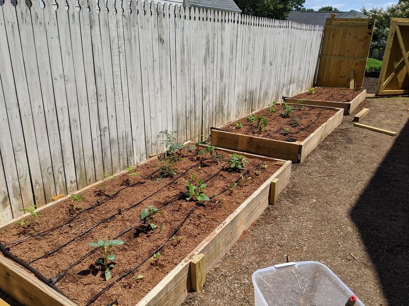 Proper Irrigation Matters More Than Bed Material