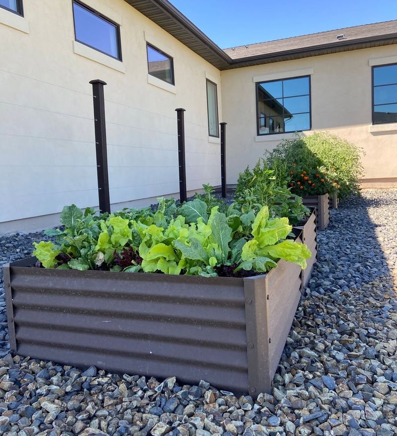 Metal Beds Absorb And Radiate More Surface Heat