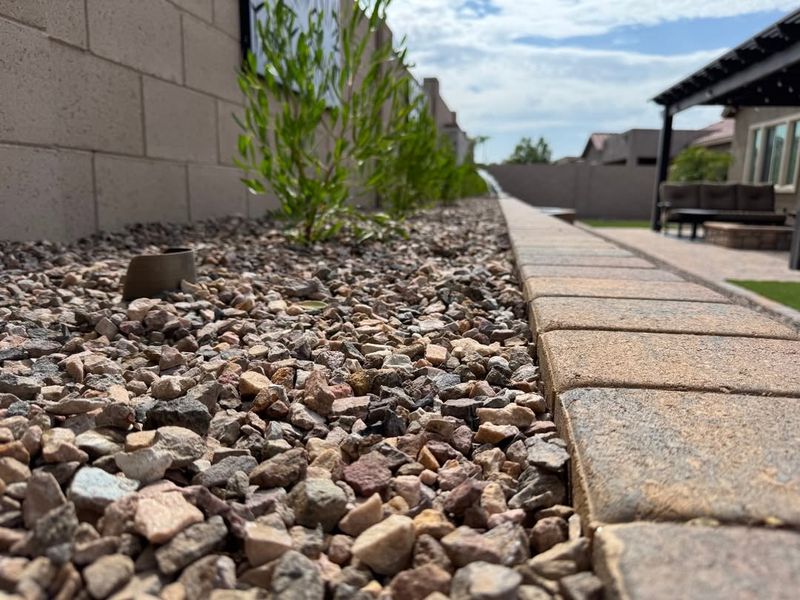 Reduce Lawn Areas To Conserve Water